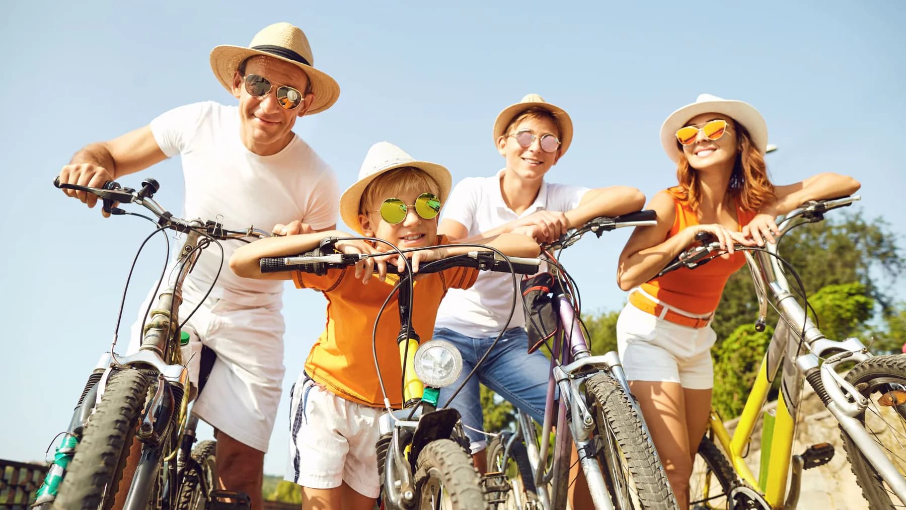 Ruta en bicicleta por los arrozales y visita al Molino